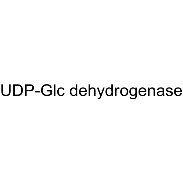 UDP-Glc dehydrogenase (UGDH)